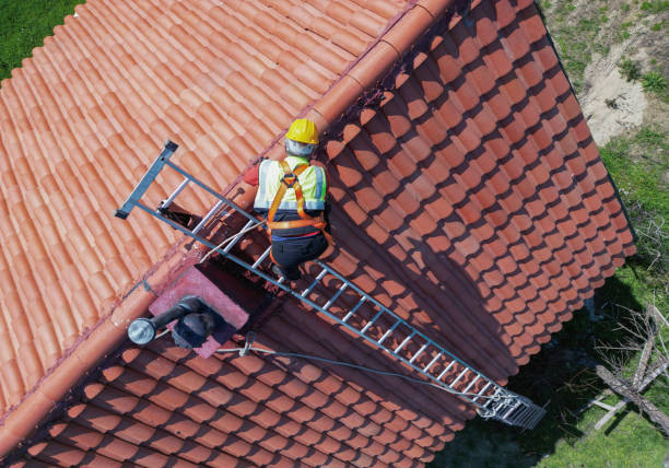 Best Roof Maintenance and Cleaning  in Belle, MO